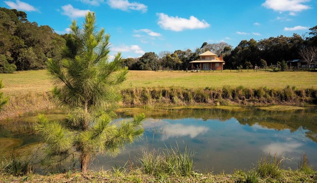 Cozy, nature-filled, pet-friendly cottage