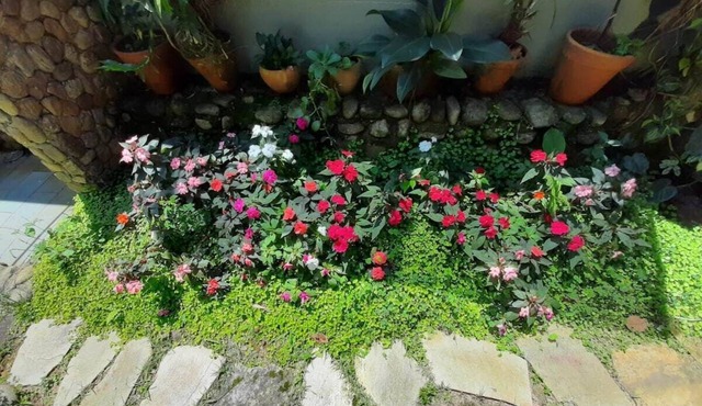 Beautiful house in gated community with swimming pool in the middle of the Atlantic forest