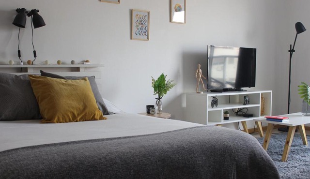 Bright & Cozy Apart near City Center, Caballito