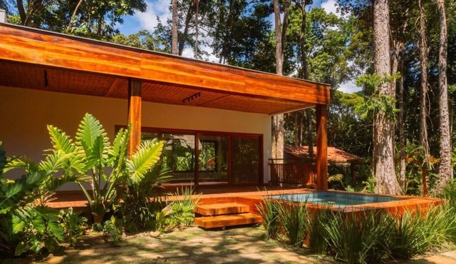 Bromeliad refuge home