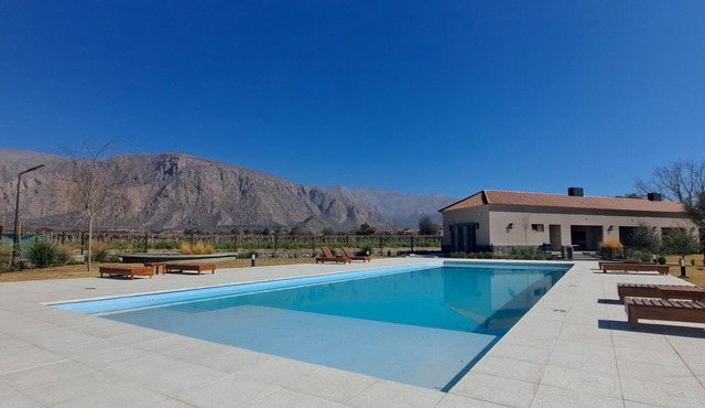 Buena Vid- Cafayate- Between Wineries