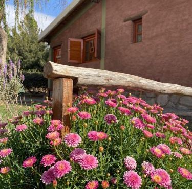 cabañas las viñas