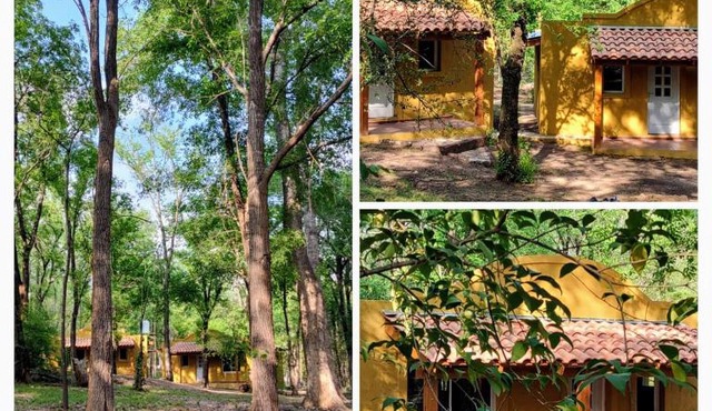 Cabañas Nueve Alamos