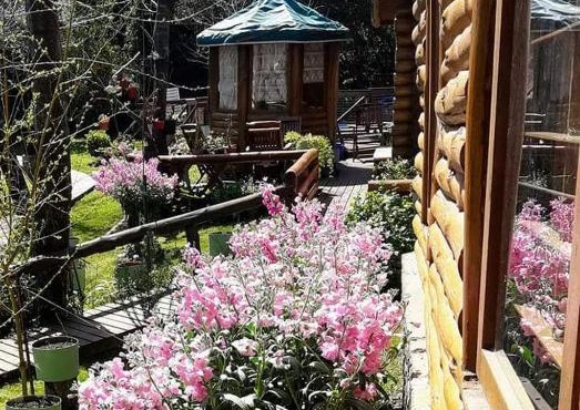 Cabañas Tehuel