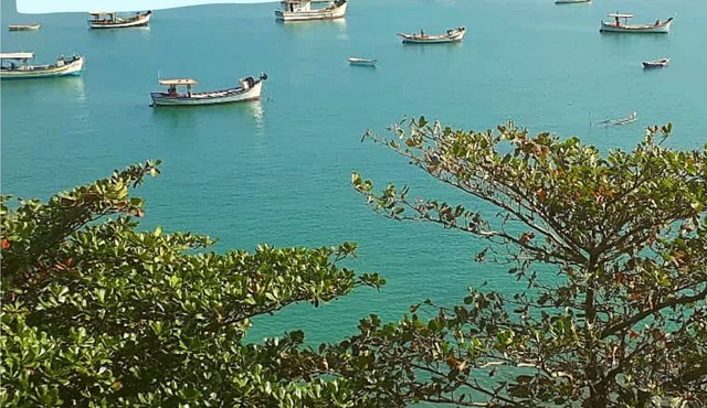 Cabana de Frente pro Mar, Praia Pântano do Sul, Florianópolis - SC