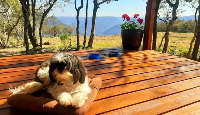 Cabana no alto do morro