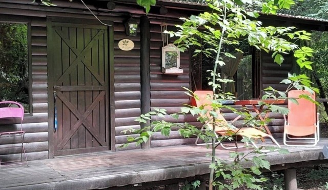 Cabin in a complex with a pool and green areas #C