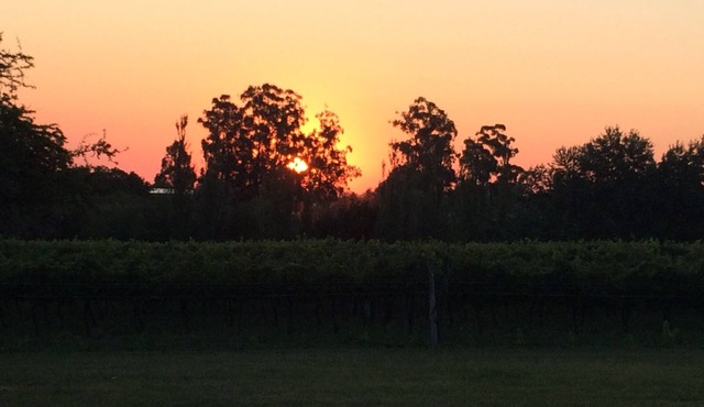 Cabins surrounded by vineyards, with history and something new to discover, lots of peace