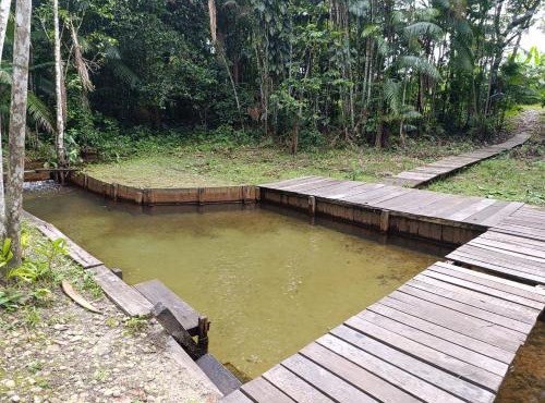 Camping em Castanhal para COP 30