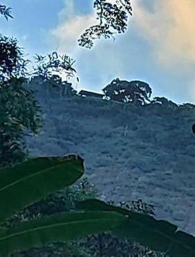Camping São Conrado com cachoeira exclusiva, perto da praia e da Pedra Bonita