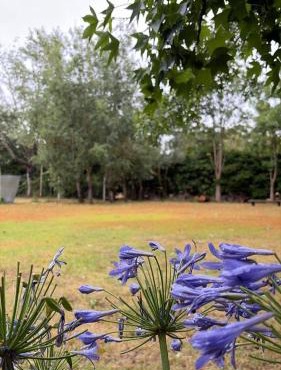 Campo Los Teritos