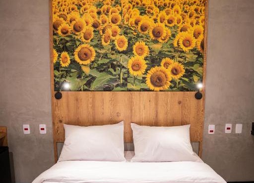 CAMPOS DE HOLAMBRA INN