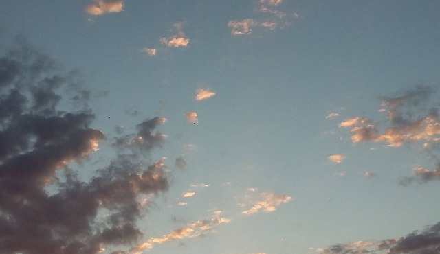 Canastra Season