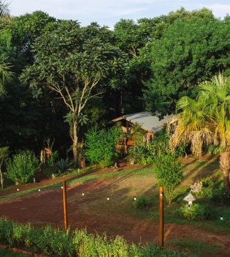 Canto de Pájaros