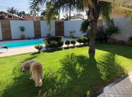 Casa aconchegante com piscina na praia