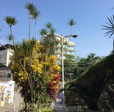 Casa aconchegante em Vila Valqueire