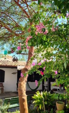 Casa Baluarte Guest House Búzios