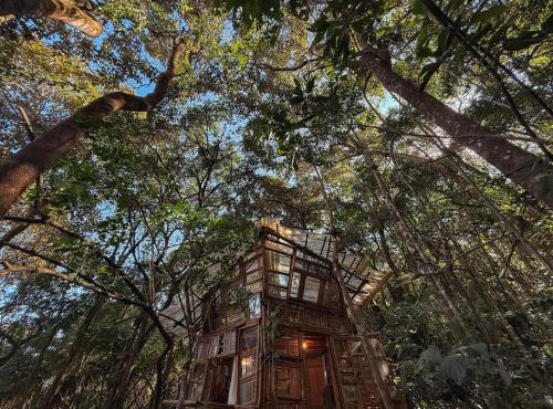 Casa Bambu Floresta Amada