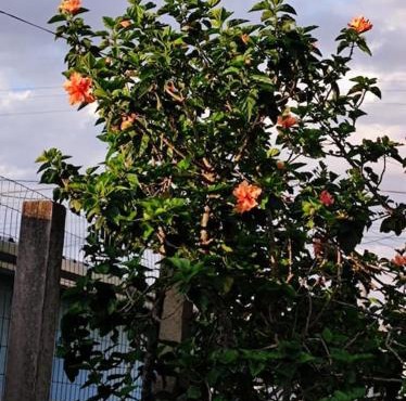 Casa com Sacada e Churrasqueira em Tramandaí/RS