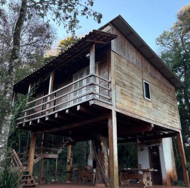 Casa da Árvore