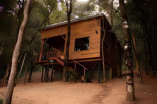 Casa da Árvore - Olivais Santa Clara