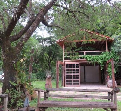 Casa da Arvore