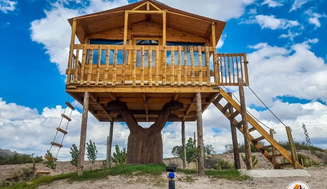 Casa de Arbol estillo dormis