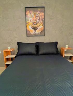 Casa Fabluys 3