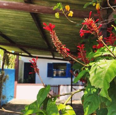 Casa Inaê