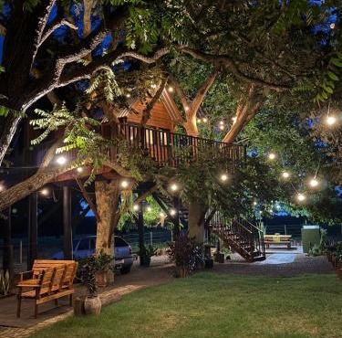 Casa na arvore Dream tree house