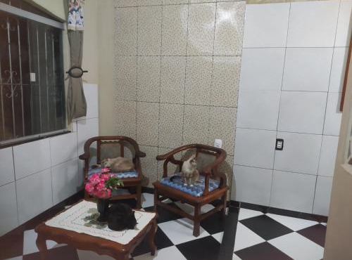 casa para alugar durante a cop30