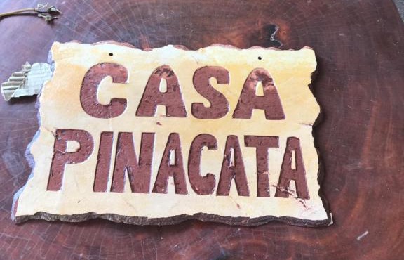 Casa Pinacata