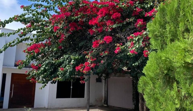 Casa Verano do Francês