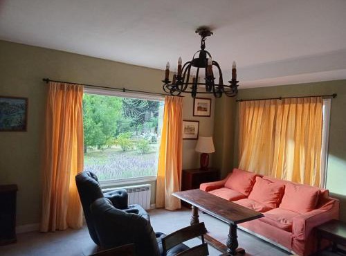 Casiopea bungalo