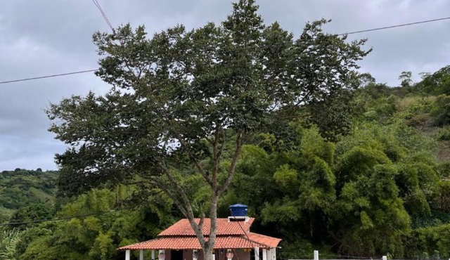 Chácara dos avós L&A