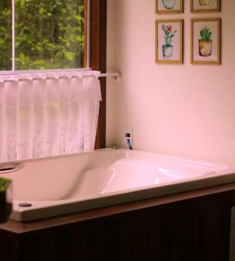 Chalé com hidromassagem e vista para o lago em Domingos Martins