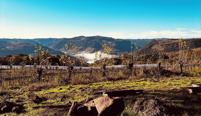 Charming and sustainable cottage in fabulous Monte Belo do Sul, RS.