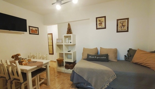 Charming Apartment in Recoleta Comfort and Style for 4 People