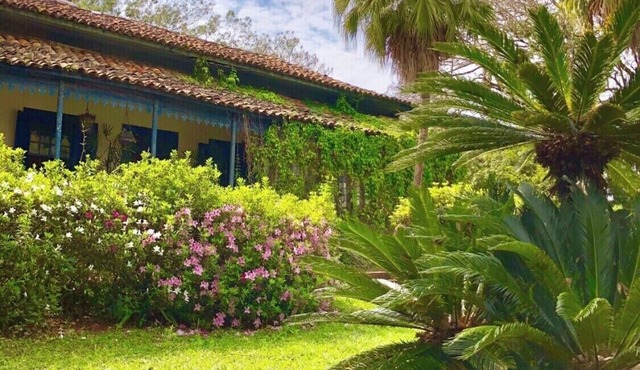 Charming farm from the coffee era, surrounded by abundant nature.