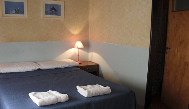 City Hotel