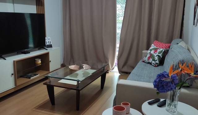 Comfortable apartment in the city center.