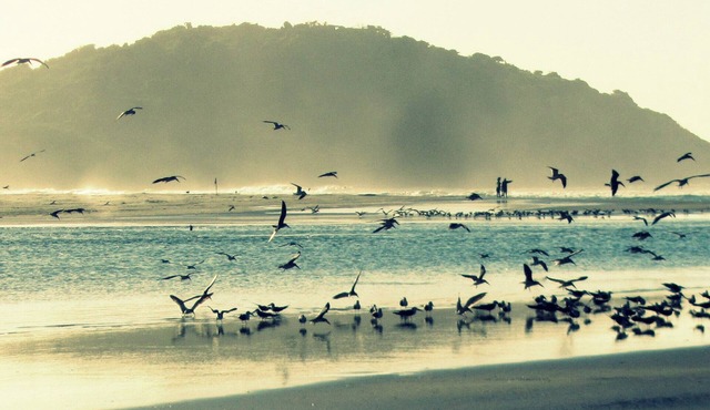 Comfortable house w /view to the sea w /wi-fi - Ibiraquera beach.