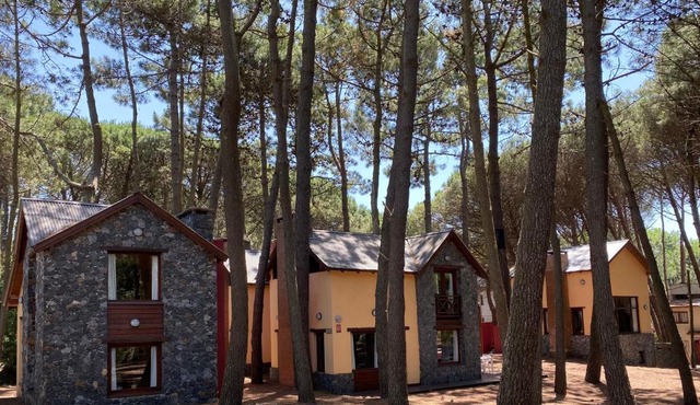 Complejo de Cabañas Tunquelen in Mar de las Pampas