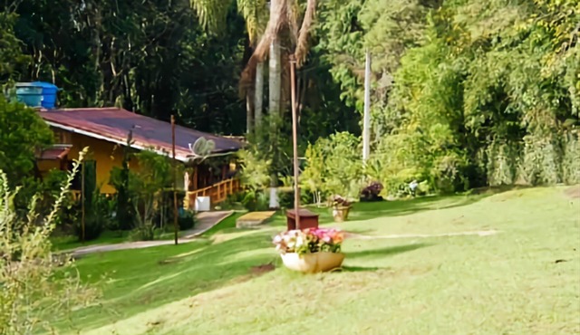 Cozy estate with ample space in the style of Grandma's house.