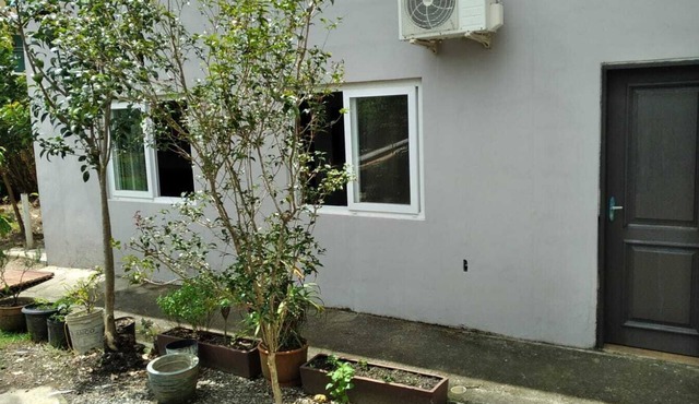 Cozy house 500 meters from Campeche beach, pet friendly.