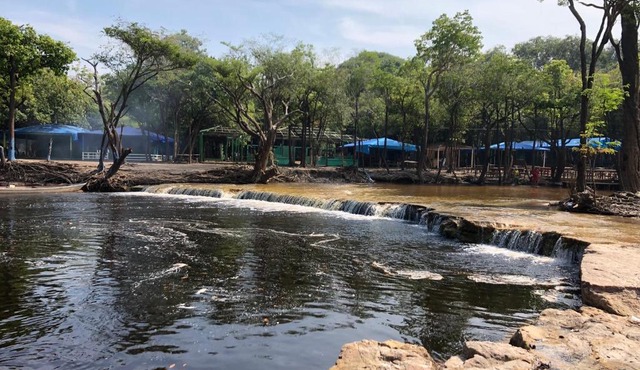 Curupira Amazon Lodge - Private Jungle Tour, River Tour or Great Adventure TOUR INCLUDED ONLY IN DELUXE ROOMS
