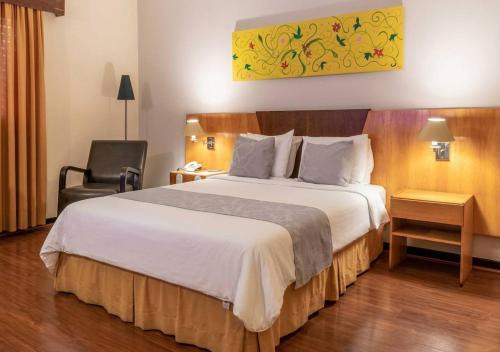 Dexter Hotel - Volta Redonda