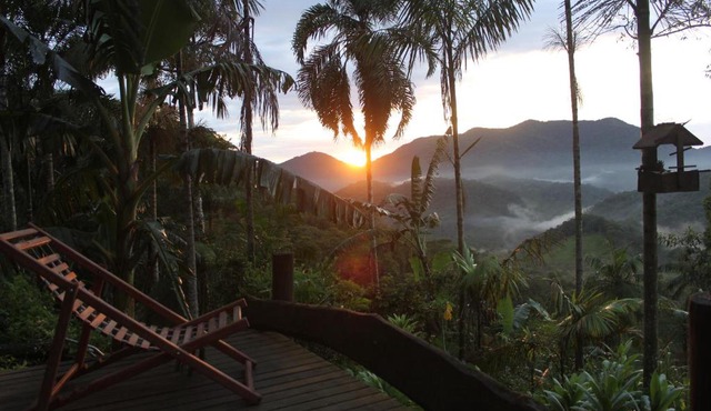 Eco Hostel Organic Life