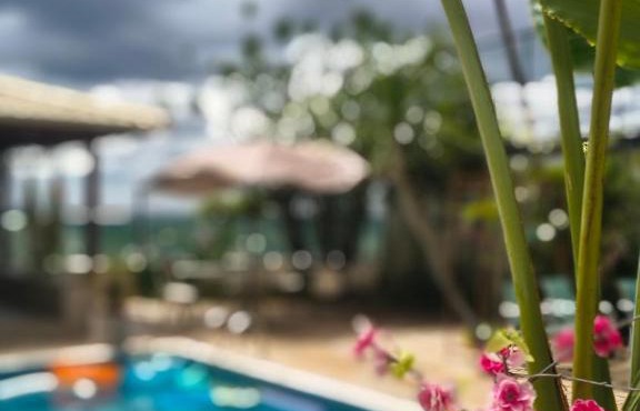 Eden Coworking House Pampulha