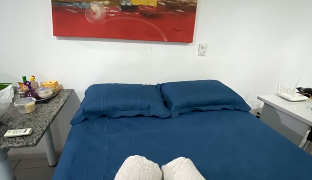 Entire apartment with pool and gym included.